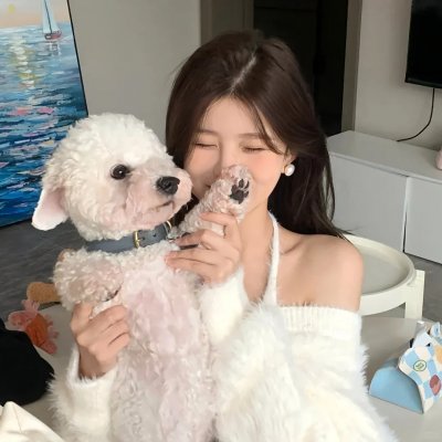 爱在飞